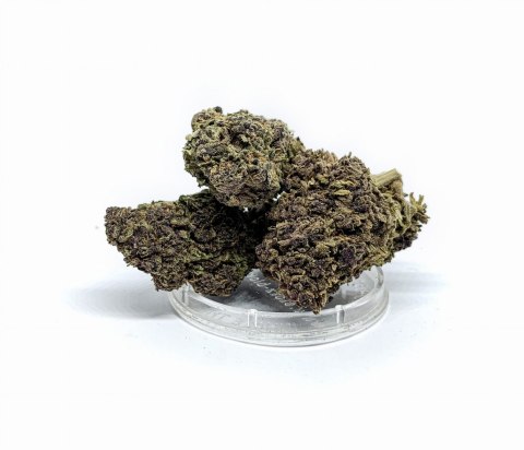 CBD Kwiaty Konopi "Purple Bomb" 1 g