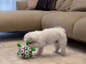 Zabawka dla psa mocna piłka - szarpak z uchwytami