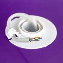 Skrętka CAT5e U/UTP AWG24 CU PVC OD 5.0 Eca 305m SPACETRONIK